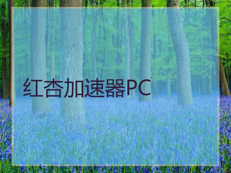 红杏加速器PC