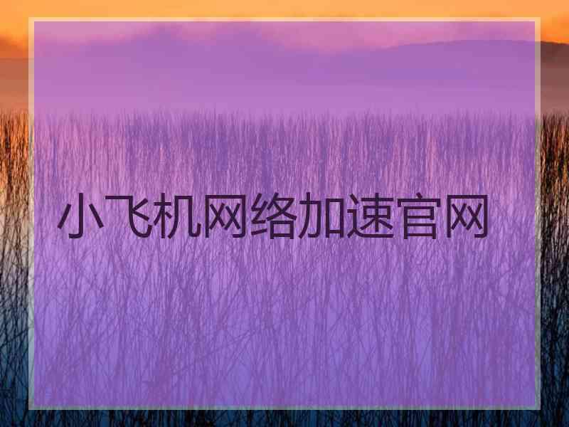 小飞机网络加速官网