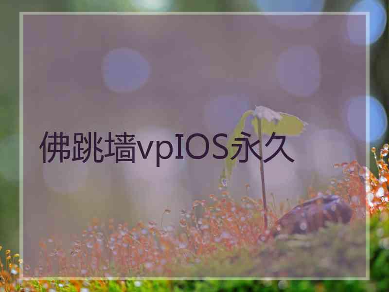 佛跳墙vpIOS永久