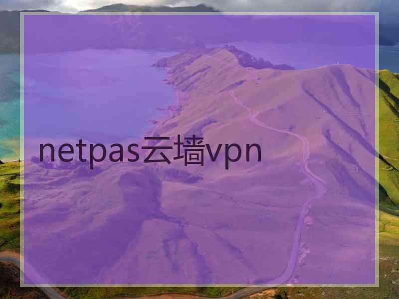 netpas云墙vpn