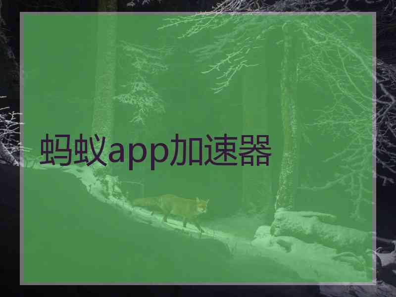 蚂蚁app加速器