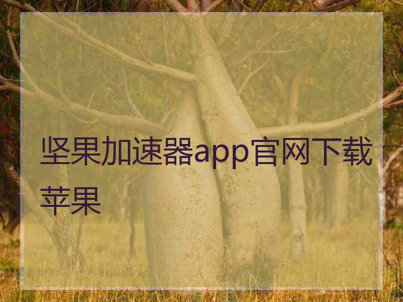 坚果加速器app官网下载苹果