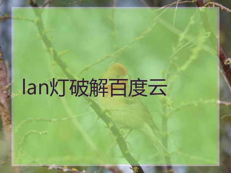 lan灯破解百度云