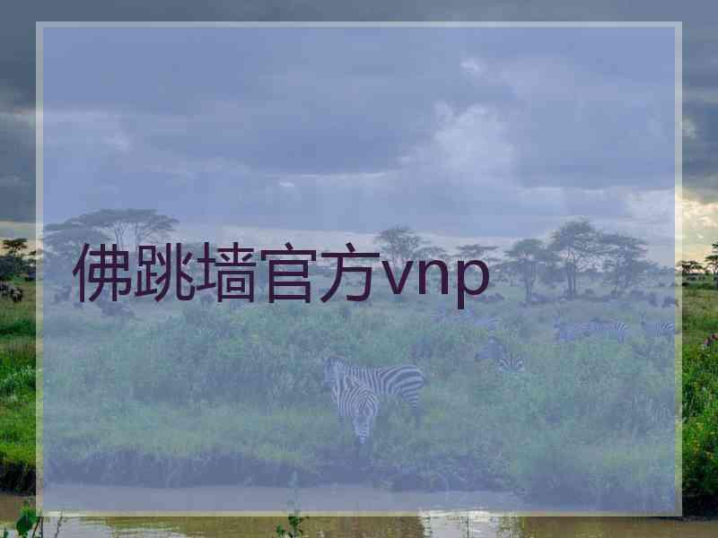 佛跳墙官方vnp