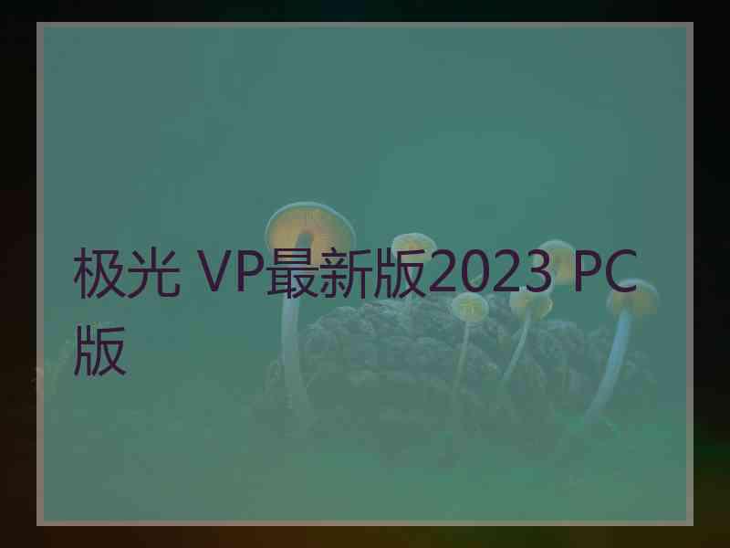 极光 VP最新版2023 PC版